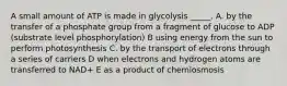 A small amount of ATP is made in glycolysis _____. A. by the transfer of a phosphate group from a fragment of glucose to ADP (substrate level phosphorylation) B using energy from the sun to perform photosynthesis C. by the transport of electrons through a series of carriers D when electrons and hydrogen atoms are transferred to NAD+ E as a product of chemiosmosis