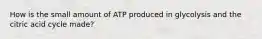 How is the small amount of ATP produced in glycolysis and the citric acid cycle made?