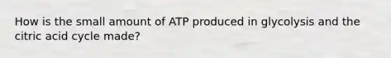 How is the small amount of ATP produced in glycolysis and the citric acid cycle made?