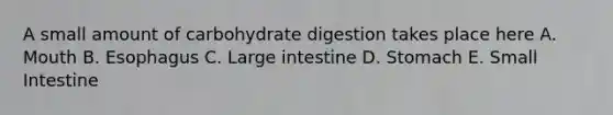 A small amount of carbohydrate digestion takes place here A. Mouth B. Esophagus C. Large intestine D. Stomach E. Small Intestine