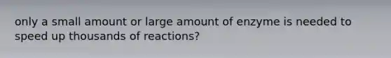 only a small amount or large amount of enzyme is needed to speed up thousands of reactions?