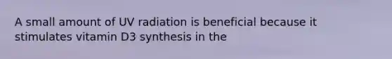 A small amount of UV radiation is beneficial because it stimulates vitamin D3 synthesis in the