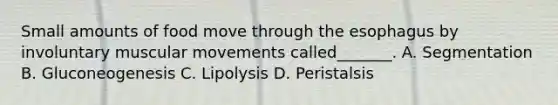 Small amounts of food move through the esophagus by involuntary muscular movements called_______. A. Segmentation B. Gluconeogenesis C. Lipolysis D. Peristalsis