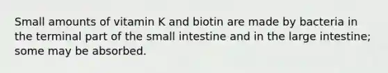 Small amounts of vitamin K and biotin are made by bacteria in the terminal part of the small intestine and in the large intestine; some may be absorbed.