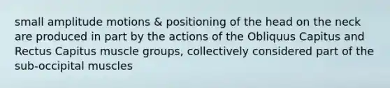 small amplitude motions & positioning of the head on the neck are produced in part by the actions of the Obliquus Capitus and Rectus Capitus muscle groups, collectively considered part of the sub-occipital muscles