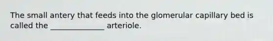 The small antery that feeds into the glomerular capillary bed is called the ______________ arteriole.