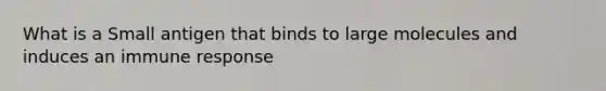 What is a Small antigen that binds to large molecules and induces an immune response