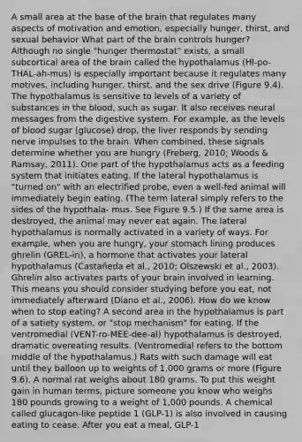 A small area at the base of the brain that regulates many aspects of motivation and emotion, especially hunger, thirst, and sexual behavior What part of the brain controls hunger? Although no single "hunger thermostat" exists, a small subcortical area of the brain called the hypothalamus (HI-po-THAL-ah-mus) is especially important because it regulates many motives, including hunger, thirst, and the sex drive (Figure 9.4). The hypothalamus is sensitive to levels of a variety of substances in the blood, such as sugar. It also receives neural messages from the digestive system. For example, as the levels of blood sugar (glucose) drop, the liver responds by sending nerve impulses to the brain. When combined, these signals determine whether you are hungry (Freberg, 2010; Woods & Ramsay, 2011). One part of the hypothalamus acts as a feeding system that initiates eating. If the lateral hypothalamus is "turned on" with an electrified probe, even a well-fed animal will immediately begin eating. (The term lateral simply refers to the sides of the hypothala- mus. See Figure 9.5.) If the same area is destroyed, the animal may never eat again. The lateral hypothalamus is normally activated in a variety of ways. For example, when you are hungry, your stomach lining produces ghrelin (GREL-in), a hormone that activates your lateral hypothalamus (Castañeda et al., 2010; Olszewski et al., 2003). Ghrelin also activates parts of your brain involved in learning. This means you should consider studying before you eat, not immediately afterward (Diano et al., 2006). How do we know when to stop eating? A second area in the hypothalamus is part of a satiety system, or "stop mechanism" for eating. If the ventromedial (VENT-ro-MEE-dee-al) hypothalamus is destroyed, dramatic overeating results. (Ventromedial refers to the bottom middle of the hypothalamus.) Rats with such damage will eat until they balloon up to weights of 1,000 grams or more (Figure 9.6). A normal rat weighs about 180 grams. To put this weight gain in human terms, picture someone you know who weighs 180 pounds growing to a weight of 1,000 pounds. A chemical called glucagon-like peptide 1 (GLP-1) is also involved in causing eating to cease. After you eat a meal, GLP-1