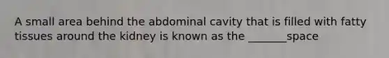 A small area behind the abdominal cavity that is filled with fatty tissues around the kidney is known as the _______space