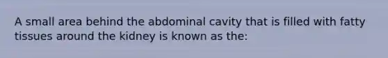 A small area behind the abdominal cavity that is filled with fatty tissues around the kidney is known as the: