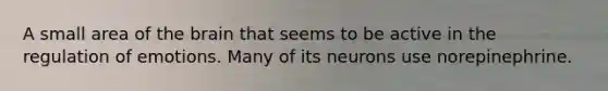 A small area of the brain that seems to be active in the regulation of emotions. Many of its neurons use norepinephrine.