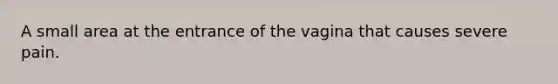 A small area at the entrance of the vagina that causes severe pain.