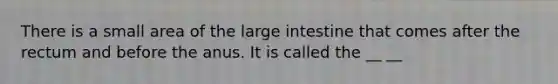 There is a small area of the large intestine that comes after the rectum and before the anus. It is called the __ __