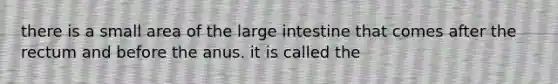 there is a small area of the large intestine that comes after the rectum and before the anus. it is called the