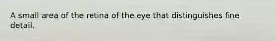 A small area of the retina of the eye that distinguishes fine detail.