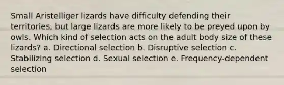 Small Aristelliger lizards have difficulty defending their territories, but large lizards are more likely to be preyed upon by owls. Which kind of selection acts on the adult body size of these lizards? a. Directional selection b. Disruptive selection c. Stabilizing selection d. Sexual selection e. Frequency-dependent selection