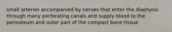 small arteries accompanied by nerves that enter the diaphysis through many perforating canals and supply blood to the periosteum and outer part of the compact bone tissue