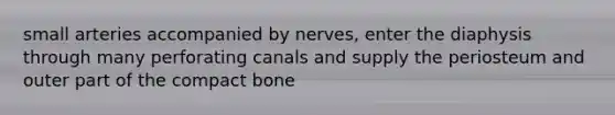 small arteries accompanied by nerves, enter the diaphysis through many perforating canals and supply the periosteum and outer part of the compact bone