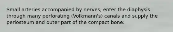 Small arteries accompanied by nerves, enter the diaphysis through many perforating (Volkmann's) canals and supply the periosteum and outer part of the compact bone:
