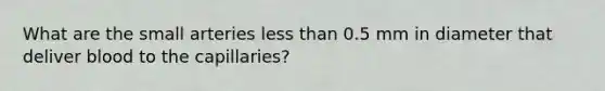 What are the small arteries <a href='https://www.questionai.com/knowledge/k7BtlYpAMX-less-than' class='anchor-knowledge'>less than</a> 0.5 mm in diameter that deliver blood to the capillaries?