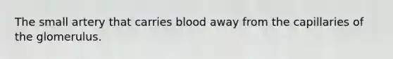 The small artery that carries blood away from the capillaries of the glomerulus.