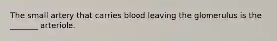 The small artery that carries blood leaving the glomerulus is the _______ arteriole.