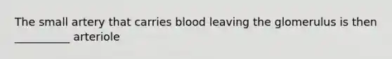 The small artery that carries blood leaving the glomerulus is then __________ arteriole