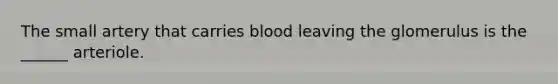 The small artery that carries blood leaving the glomerulus is the ______ arteriole.