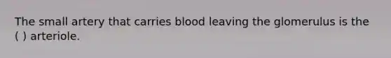 The small artery that carries blood leaving the glomerulus is the ( ) arteriole.