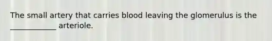 The small artery that carries blood leaving the glomerulus is the ____________ arteriole.