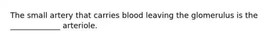 The small artery that carries blood leaving the glomerulus is the _____________ arteriole.