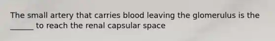 The small artery that carries blood leaving the glomerulus is the ______ to reach the renal capsular space