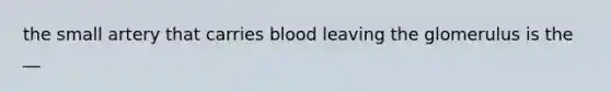 the small artery that carries blood leaving the glomerulus is the __