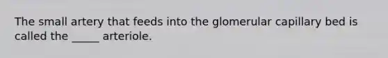 The small artery that feeds into the glomerular capillary bed is called the _____ arteriole.