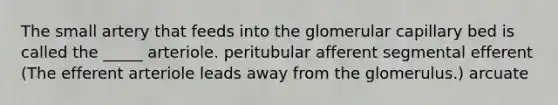 The small artery that feeds into the glomerular capillary bed is called the _____ arteriole. peritubular afferent segmental efferent (The efferent arteriole leads away from the glomerulus.) arcuate