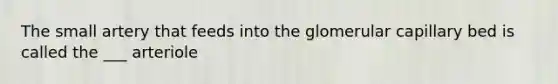 The small artery that feeds into the glomerular capillary bed is called the ___ arteriole