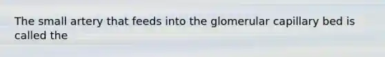 The small artery that feeds into the glomerular capillary bed is called the