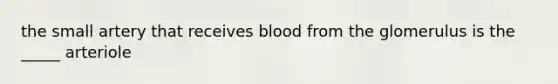 the small artery that receives blood from the glomerulus is the _____ arteriole