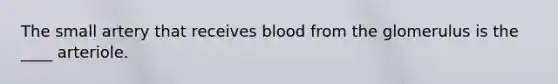 The small artery that receives blood from the glomerulus is the ____ arteriole.