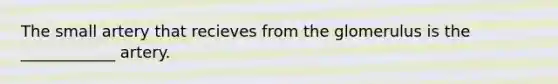 The small artery that recieves from the glomerulus is the ____________ artery.
