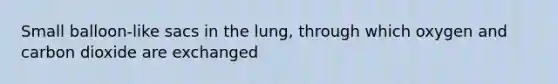 Small balloon-like sacs in the lung, through which oxygen and carbon dioxide are exchanged