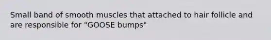 Small band of smooth muscles that attached to hair follicle and are responsible for "GOOSE bumps"