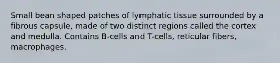 Small bean shaped patches of lymphatic tissue surrounded by a fibrous capsule, made of two distinct regions called the cortex and medulla. Contains B-cells and T-cells, reticular fibers, macrophages.