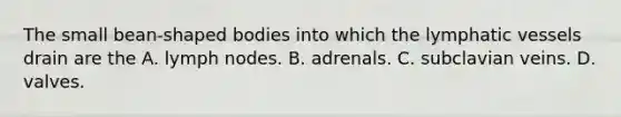 The small bean-shaped bodies into which the lymphatic vessels drain are the A. lymph nodes. B. adrenals. C. subclavian veins. D. valves.