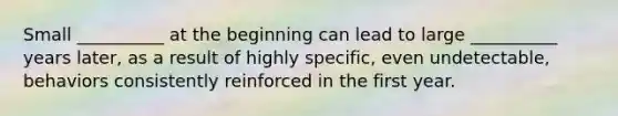 Small __________ at the beginning can lead to large __________ years later, as a result of highly specific, even undetectable, behaviors consistently reinforced in the first year.