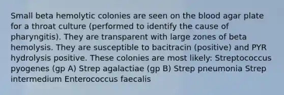 Small beta hemolytic colonies are seen on the blood agar plate for a throat culture (performed to identify the cause of pharyngitis). They are transparent with large zones of beta hemolysis. They are susceptible to bacitracin (positive) and PYR hydrolysis positive. These colonies are most likely: Streptococcus pyogenes (gp A) Strep agalactiae (gp B) Strep pneumonia Strep intermedium Enterococcus faecalis