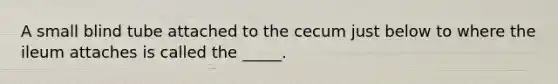 A small blind tube attached to the cecum just below to where the ileum attaches is called the _____.