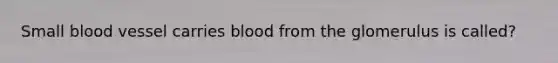 Small blood vessel carries blood from the glomerulus is called?