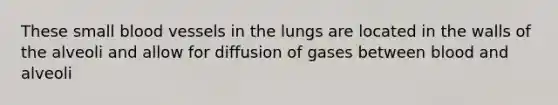 These small blood vessels in the lungs are located in the walls of the alveoli and allow for diffusion of gases between blood and alveoli