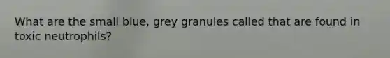 What are the small blue, grey granules called that are found in toxic neutrophils?